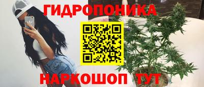 молекула духа Гай