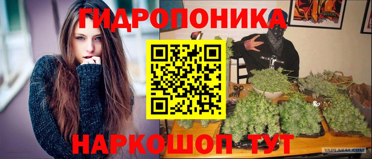 Марихуана сатива  Бошки Шишки Bruce Banner  Вход с VPN  Марихуана тримм  Мценск  Шишки марихуана LSD WEED 